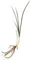 第3回「菜食美」